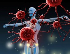 promoting immune support – PINE BARK EXTRACT – antioxidant daily 3 BOTTLE