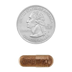 Spring Valley Whole Herb Saw Palmetto Supplement Capsule 450 mg 200 Count