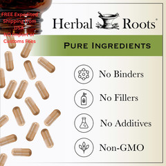 Herbal Roots Milk Thistle Capsules | Extra Strength 80% 60 Count (Pack of 1)