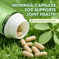 Moringa Oleifera Leaf Extract Capsules Energy Boost & Immune Support