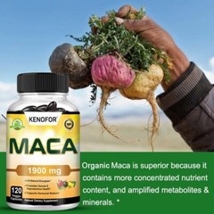 Organic Maca Root Black Red Yellow 30 To 120 Capsules Maca Ultimate Extract