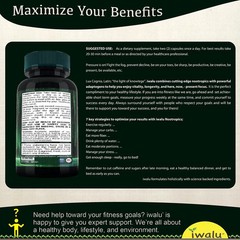L Theanine 100 Mg | Best Supplement Office Computer Use FREE SHIP