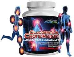 Glucosamine Chondroitin Turmeric & MSM 200 CAPSULES – Bones, Joint Support Pills