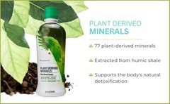 Youngevity Dr. Wallach Plant Derived Minerals – 3 Pack