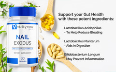 Nail Exodus Extreme Probiotic Supplement Support For Nail Health 60 Capsules