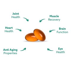 GLX3 Joint Support Extra Strength Omega-3 Supplement | Premium New Zealand G…
