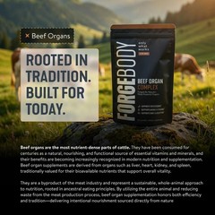 FORGEBODY® Beef Organ Capsules Brain Support 1 Month Non-gmo Grass Fed Blend