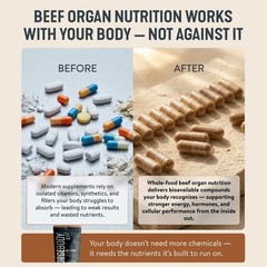 FORGEBODY® Beef Organ Capsules Brain Support 1 Month Non-gmo Grass Fed Blend