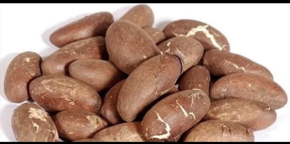 Bitter Kola Nut Garcinia Cola 1 Lb 1 Pound (Pack of 1), brown