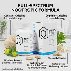 Universal Nootropic Brain Support Capsules 60ct – 2 Pack – Focus & Memory Aid