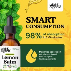 Wild & Organic Lemon Balm Drops – Relaxation 2 Fl Oz (Pack of 1), Brown