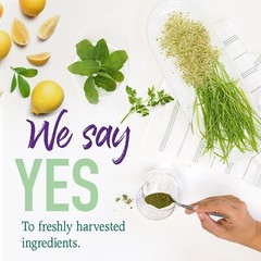 Garden of Life Raw Organic Perfect Food Alkalizer & Detoxifier Juiced Greens …