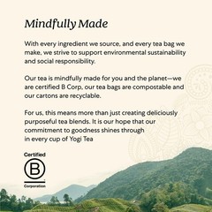 Organic Detox Tea – 96 Bags – Supports Digestion & Circulation – Burdock, Ginger