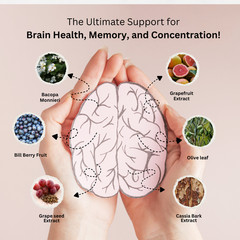 Brain Vex Memory Focus Supplement Cognitive Support Formula w/Bacopa 60 Capsules