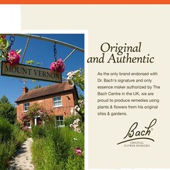 Bach Red Chestnut Flower Essence 0.7 Fl Oz Peace of Mind Homeopathic Remedy