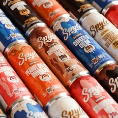 Spylt High Protein Milk – 6 Flavor Variety Pack with 132 Fl Oz (Pack of 1)