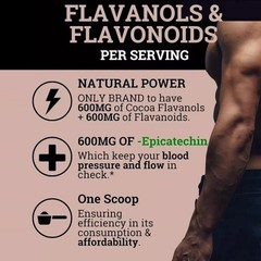 Black Supplements High Flavanol Cocoa Powder & Flavonoids Forest 1200mg