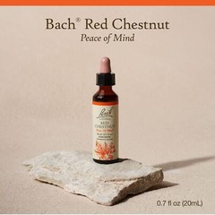 Bach Red Chestnut Flower Essence 0.7 Fl Oz Peace of Mind Homeopathic Remedy