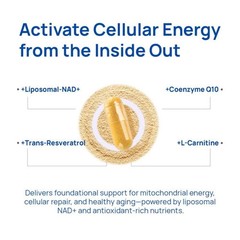 Selerb Men’s NAD+ with Liposomal-NAD+, CoQ10 & Maca for Energy & Vitality, 60ct+