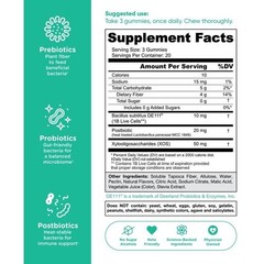 3-in-1 Zero Sugar Probiotic Gummies Vegan Daily Wellness Supplement