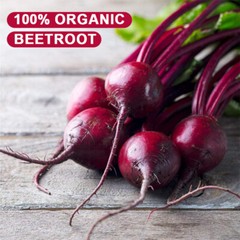 Organic Beet Root Powder Raw Non GMO Pure Beta Vulgaris Nitric Oxide Booste