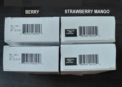 CELSIUS On The Go Energy Drink, Strawberry Mango(2), Berry(2)