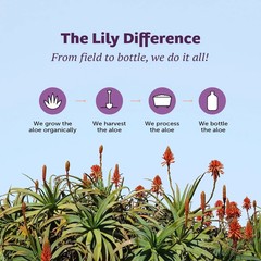 Lily of the Desert Aloe Vera 80 Stomach Formula 32 fl.oz (Pack of 2)