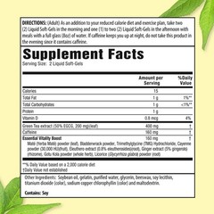 Applied Nutrition Green Tea Weight Loss Supplement, 180 Capsules Free Shipping