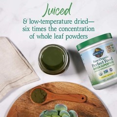 Raw Organic Perfect Food Juiced Greens Powder – 30 Servings, Detox & Energize
