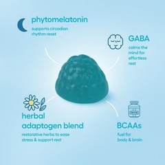 Jet Lag Remedy for Travel Gummies • No Jet Lag Pills Alternative • Travel Ess…