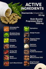 Bright Great Brain Focus Memory Supplement Nootropic For Focus Energy 90