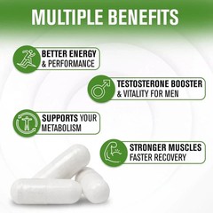 NaturalSlim Testosterin Men’s Multivitamins Testosterone Booster 180 capsules