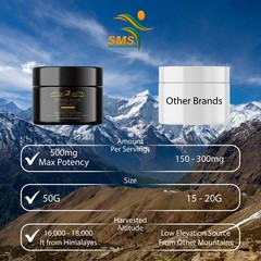 Shilajit Himalayan Resin 100% Organic Men’s Health Immunity Energy Boost 50g