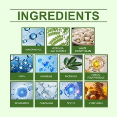 Moringa Berberine 10 in 1 Advanced Nano Microneedle Patch designed for Weight Lo