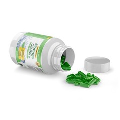 Moringa Oleifera Leaf Organic Herbal Extract 360 Caps 6 Bottles Powder 10000mg