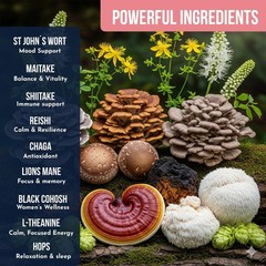 Ylva Blends Mushroom Coffee For Women By Ylva Mushroom Coffee For Hormone
