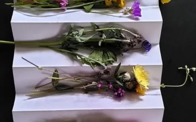 Plant Movement Event